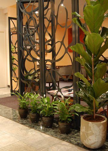 Astoria Hotel 3*